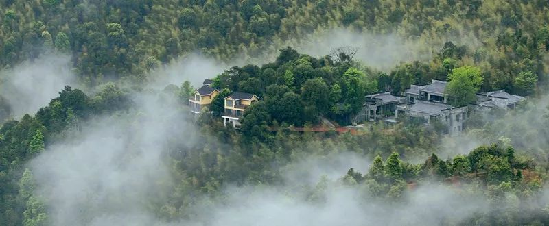 安远县富硒大米价格多少(万安富硒大米)-硒宝网