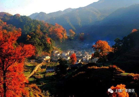 安远县富硒大米价格多少(万安富硒大米)-硒宝网