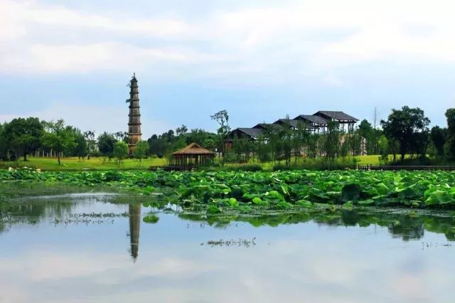 安远县富硒大米价格多少(万安富硒大米)-硒宝网