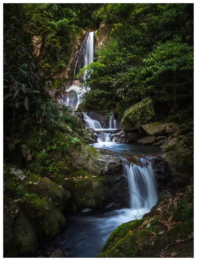 安远县富硒大米价格多少(万安富硒大米)-硒宝网