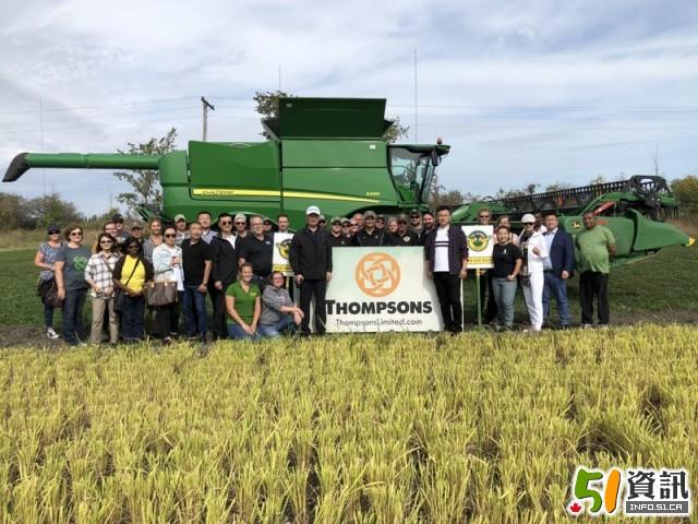 黑龙江方正富硒营养大米(黑龙江方正富硒大米价格)-硒宝网