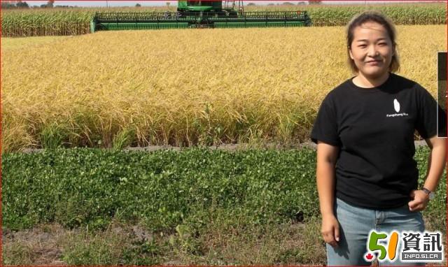 黑龙江方正富硒营养大米(黑龙江方正富硒大米价格)-硒宝网