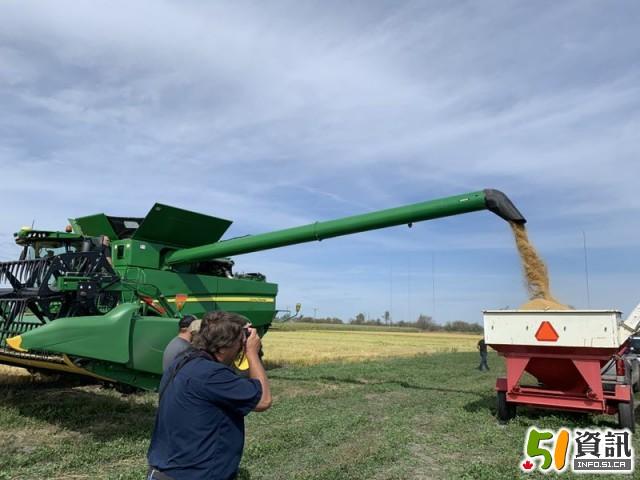 黑龙江方正富硒营养大米(黑龙江方正富硒大米价格)-硒宝网