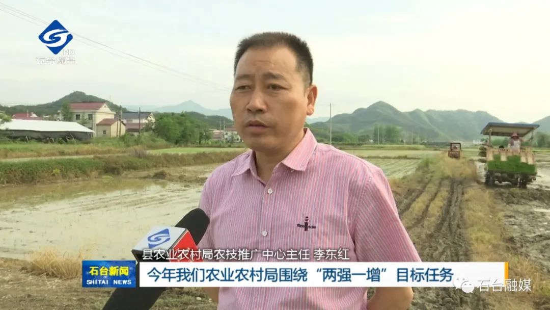 哪几个县生产富硒大米呢(富硒大米哪里生产最好)-硒宝网