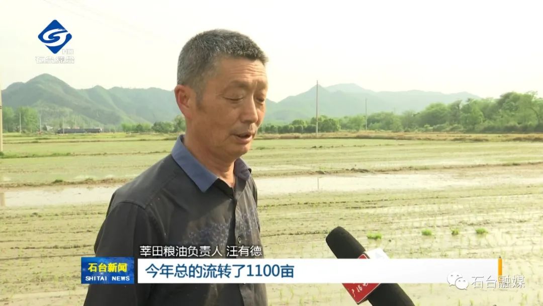 哪几个县生产富硒大米呢(富硒大米哪里生产最好)-硒宝网