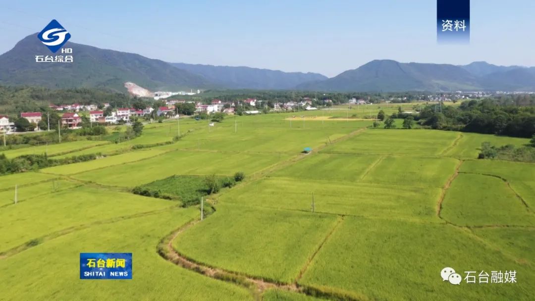 哪几个县生产富硒大米呢(富硒大米哪里生产最好)-硒宝网