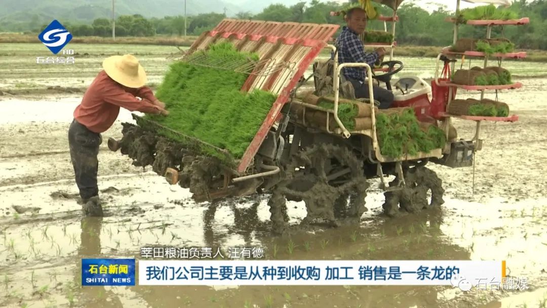 哪几个县生产富硒大米呢(富硒大米哪里生产最好)-硒宝网