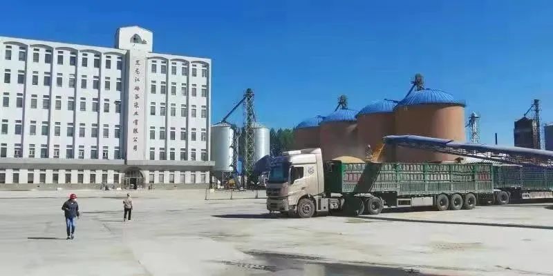 黑龙江富硒大米有限公司(黑龙江产的富硒大米哪里有卖)-硒宝网