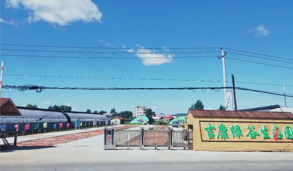 富硒大米创业项目怎么说（富硒大米市场前景）-硒宝网