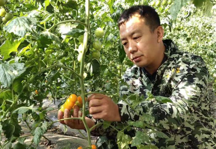 富硒大米创业项目怎么说（富硒大米市场前景）-硒宝网