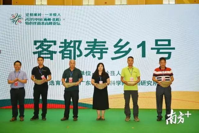 富硒大米和丝苗米哪个好（富硒优质大米）-硒宝网