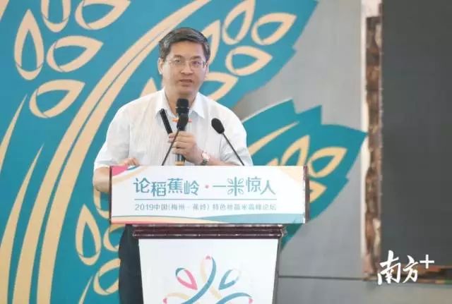 富硒大米和丝苗米哪个好（富硒优质大米）-硒宝网