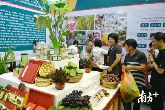 富硒大米和丝苗米哪个好（富硒优质大米）-硒宝网