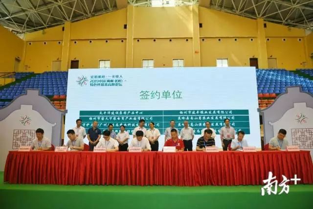 富硒大米和丝苗米哪个好（富硒优质大米）-硒宝网