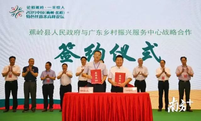 富硒大米和丝苗米哪个好（富硒优质大米）-硒宝网