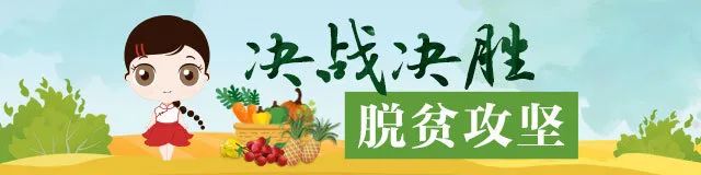 富硒大米排行榜前10名（大米姐富硒大米）-硒宝网