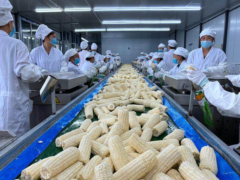 龙江县稻花香大米富硒米(黑龙江大米稻花香价格)-硒宝网