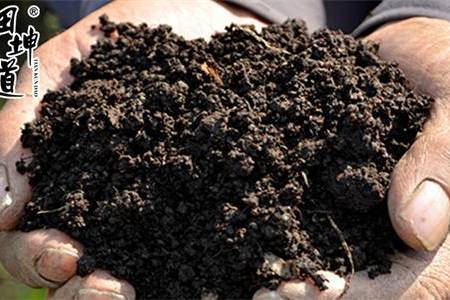 富硒大米中的有机营养素(富硒大米能补硒吗)-硒宝网