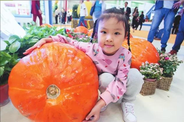 龙江县稻花香大米富硒米（黑龙江省富硒稻花香米）-硒宝网