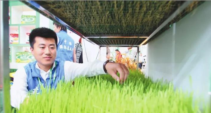 龙江县稻花香大米富硒米（黑龙江省富硒稻花香米）-硒宝网