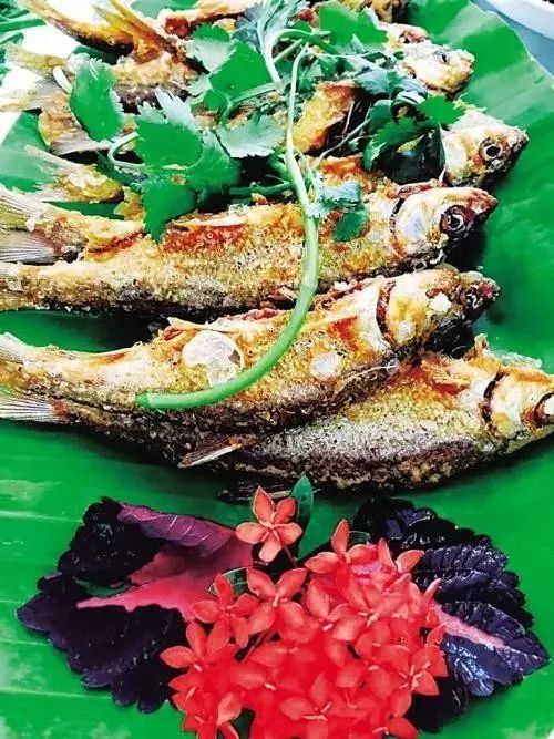 定安哪里买富硒大米粉条(富硒米粉的功效)-硒宝网