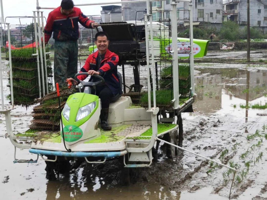富硒大米一斤装有多少粒(富硒的大米)-硒宝网