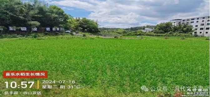 富硒大米一斤装有多少粒（富硒大米闻起来是什么味道）-硒宝网