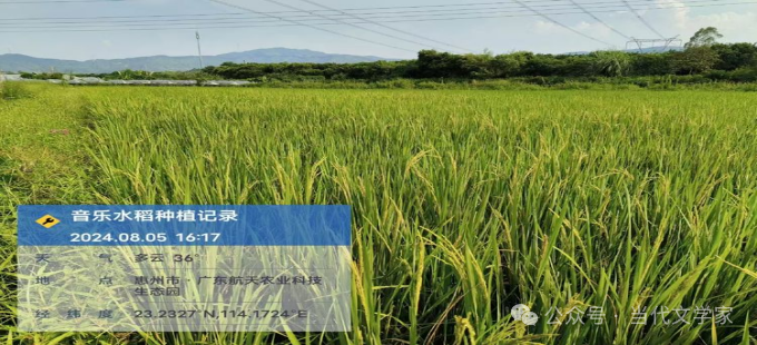 富硒大米一斤装有多少粒（富硒大米闻起来是什么味道）-硒宝网