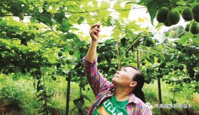 富硒大米一斤装有多少粒(富硒大米含硒吗)-硒宝网