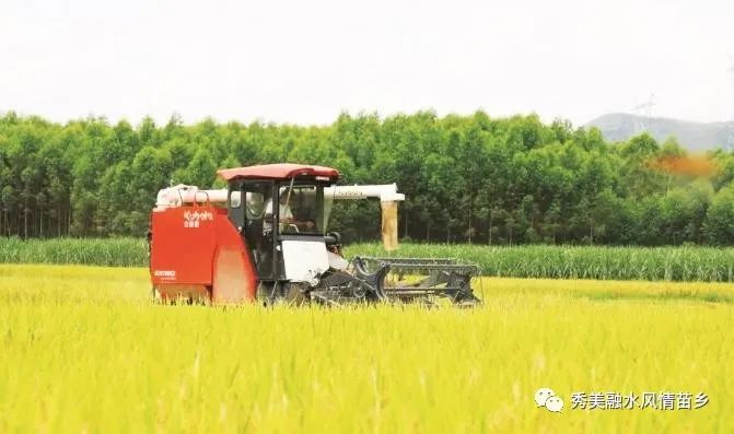 富硒大米一斤装有多少粒(富硒大米含硒吗)-硒宝网