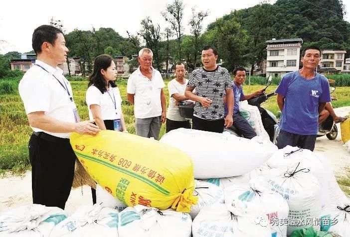 富硒大米一斤装有多少粒(富硒大米含硒吗)-硒宝网