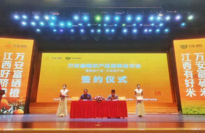 井冈山富硒大米怎么样啊（井冈山大米口感如何）-硒宝网