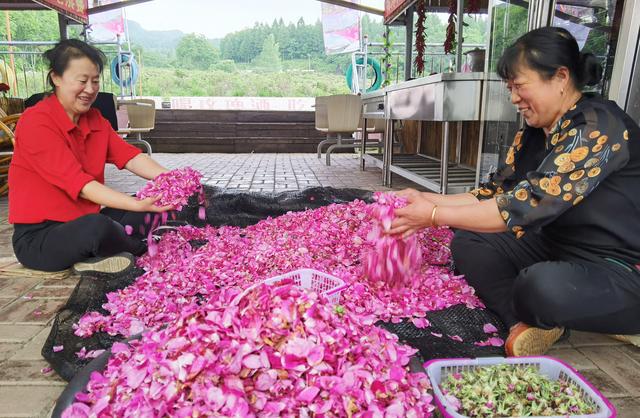 吉林省柳河县大米富硒米（吉林富硒大米销售）-硒宝网