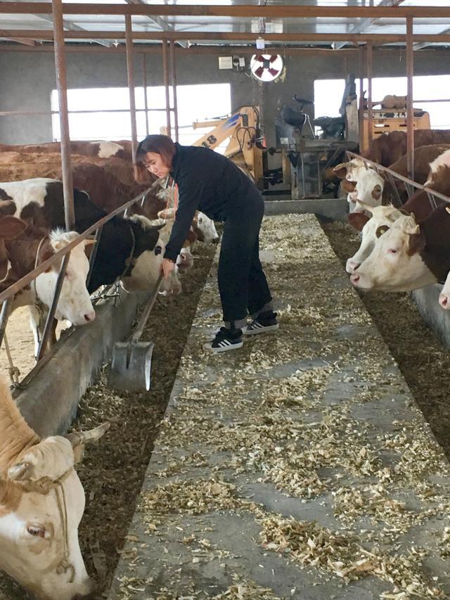 吉林省柳河县大米富硒米（吉林富硒大米销售）-硒宝网