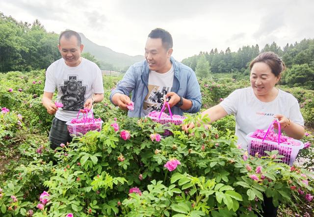 吉林省柳河县大米富硒米（吉林富硒大米销售）-硒宝网