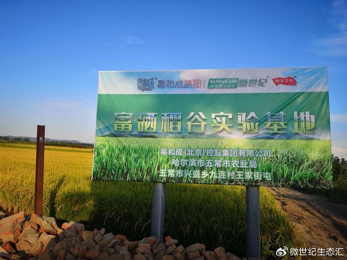 五常大米与富硒米的区别(富硒米好吃还是五常米好吃)-硒宝网