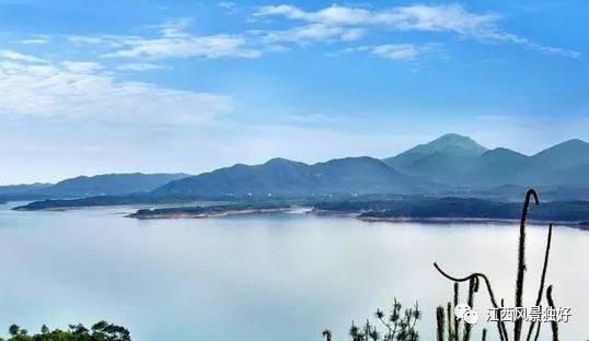 丰城富硒大米多少钱一斤(丰悦富硒大米)-硒宝网