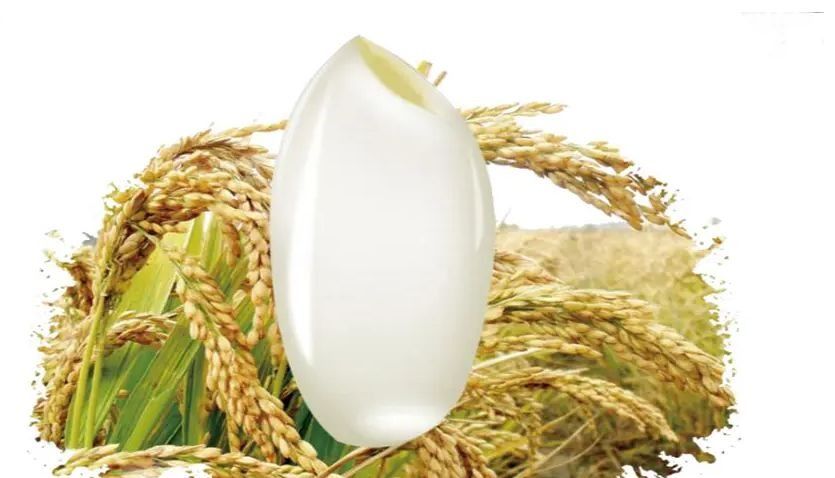 五常大米富硒稻花香2号(富硒大米和五常大米哪个好)-硒宝网