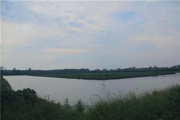 江苏富硒大米多少钱一斤（江苏富硒米多少钱一斤）-硒宝网