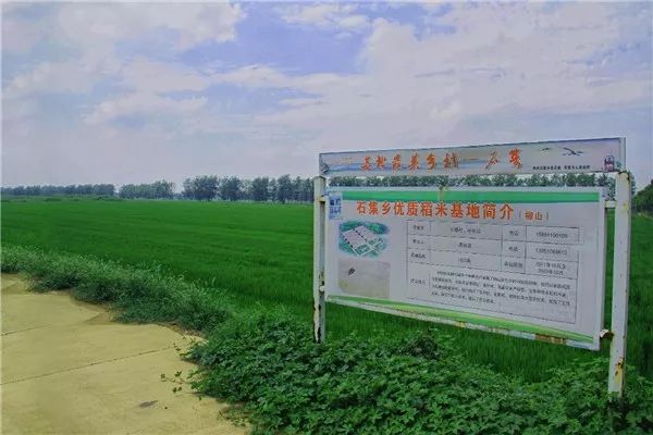 江苏富硒大米多少钱一斤（江苏富硒米多少钱一斤）-硒宝网