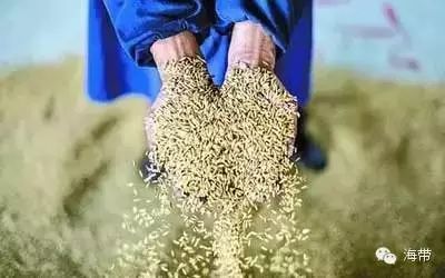 江苏富硒大米多少钱一斤(富硒大米多少钱一袋)-硒宝网