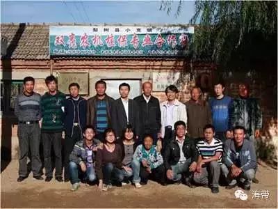 江苏富硒大米多少钱一斤(富硒大米多少钱一袋)-硒宝网