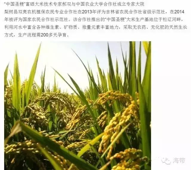 江苏富硒大米多少钱一斤(富硒大米多少钱一袋)-硒宝网