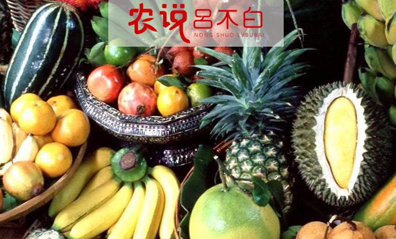 恩施富硒大米多少钱一斤(恩施富硒米哪个品牌好)-硒宝网