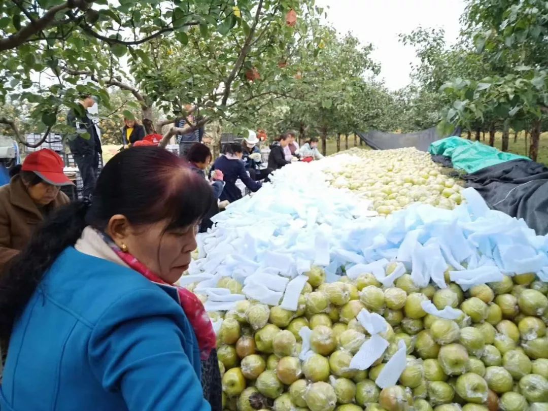 恩施富硒大米多少钱一斤(恩施富硒米哪个品牌好)-硒宝网