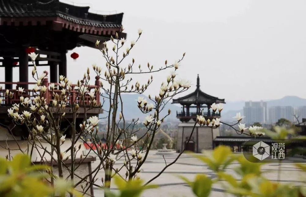 井冈山富硒大米怎么样吃(井冈山1号大米)-硒宝网