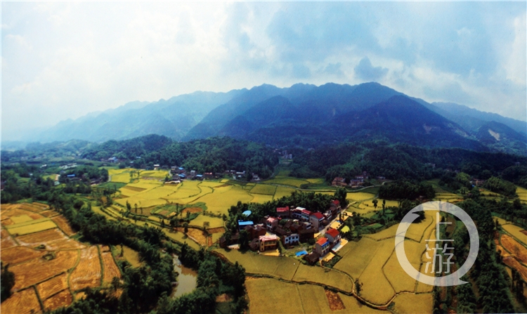 隆平富硒大米价格表最新（富硒大米的价格）-硒宝网