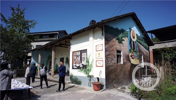 隆平富硒大米价格表最新（富硒大米的价格）-硒宝网