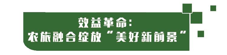 隆平富硒大米价格表最新（富硒大米的价格）-硒宝网