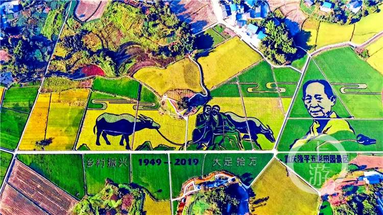 隆平富硒大米价格表最新（富硒大米的价格）-硒宝网